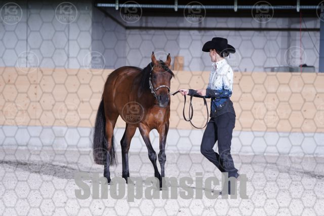 s_A_903356.JPG